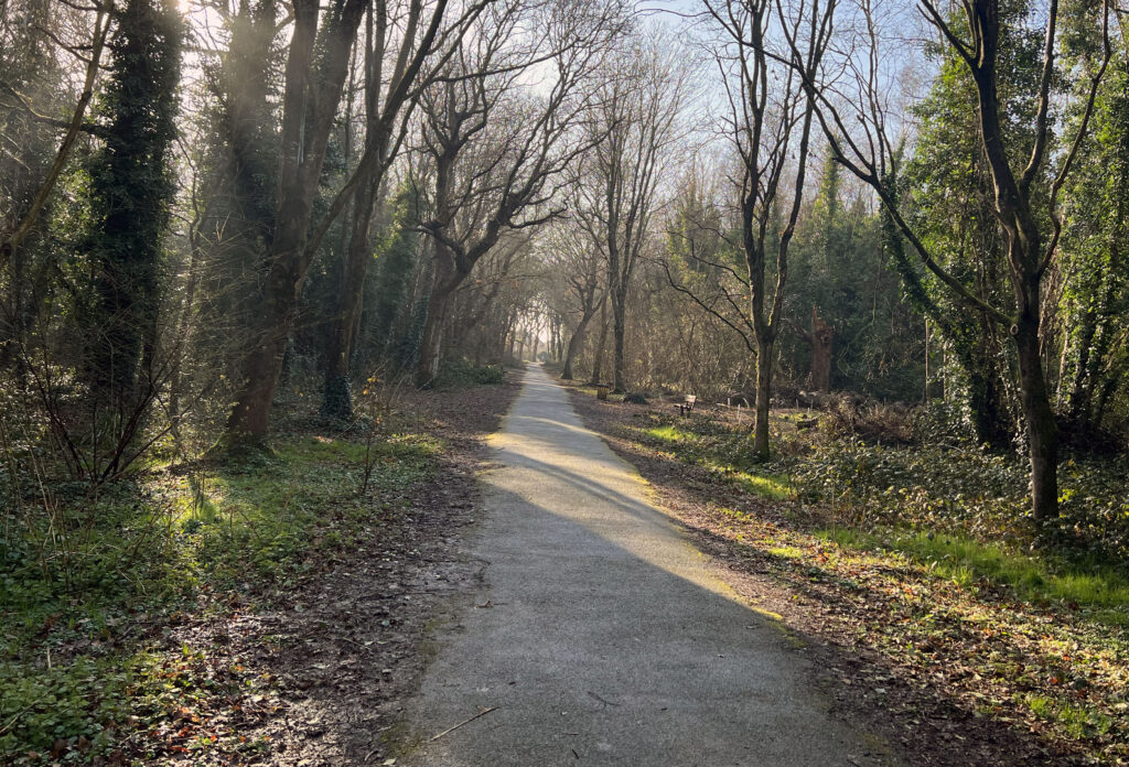 Collington Wood
