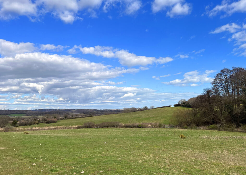 Combe Valley Countryside Park