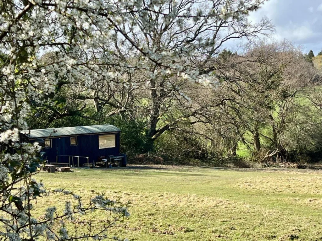 Hop and Hare Farm