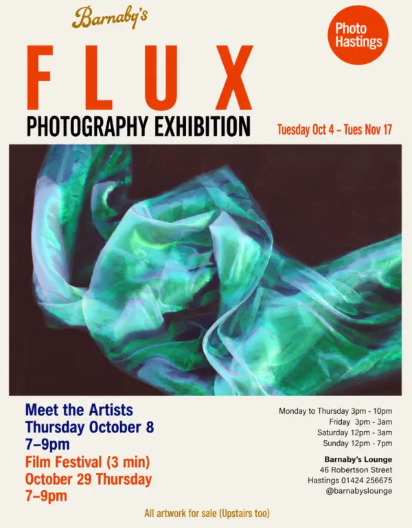 FLUX: Meet the Artists